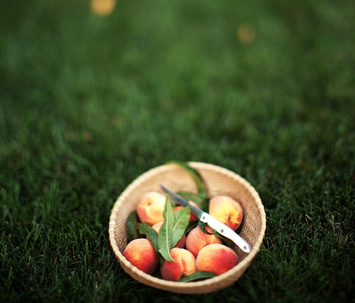 Summer Peaches wallpaper 1200x1024