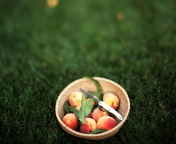 Sfondi Summer Peaches 176x144