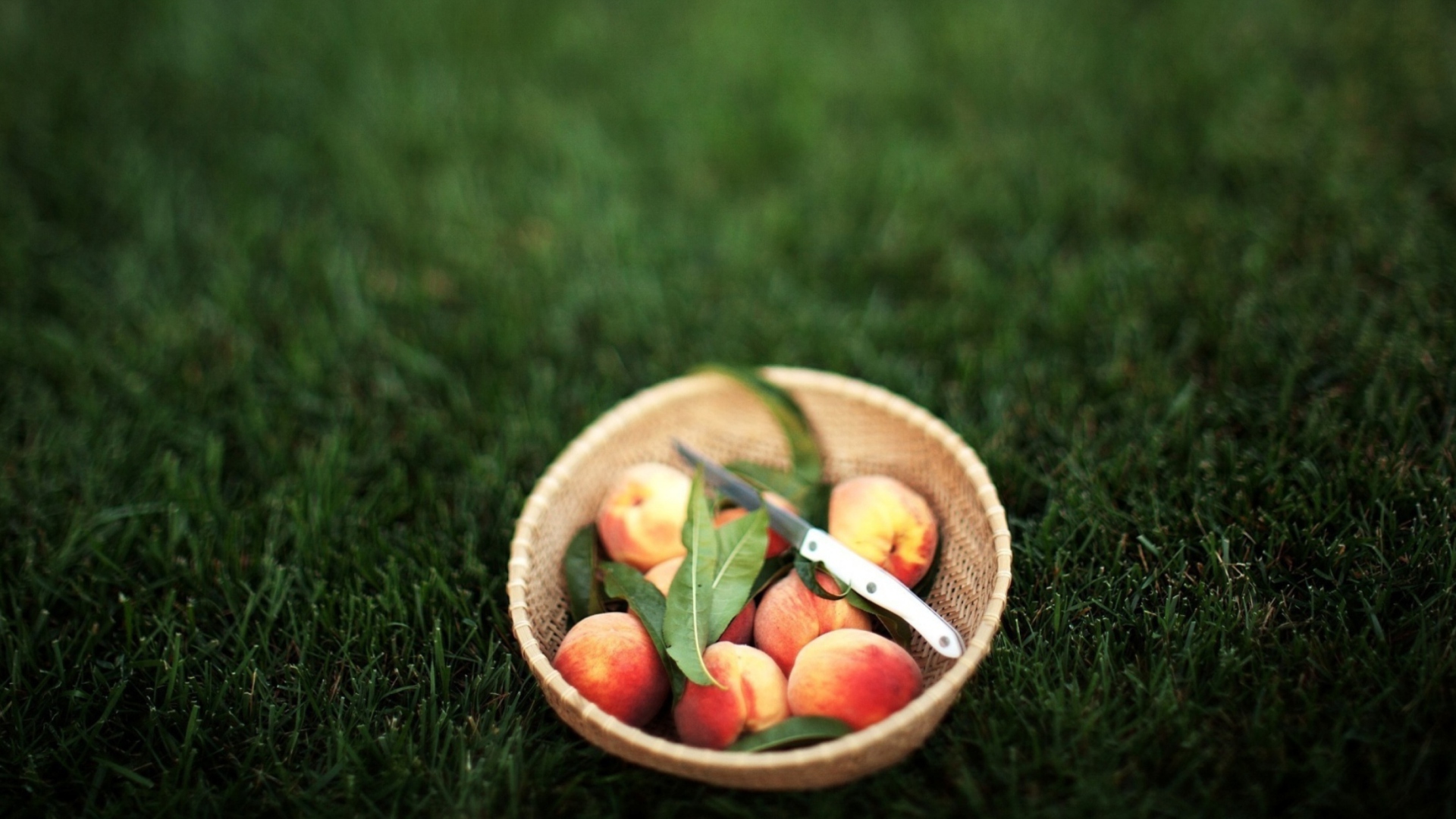 Sfondi Summer Peaches 1920x1080