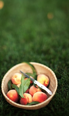 Das Summer Peaches Wallpaper 240x400