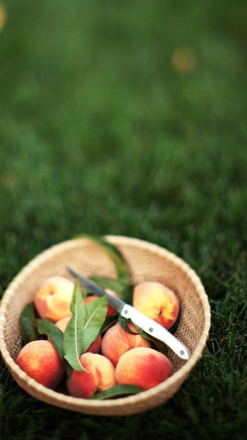 Summer Peaches wallpaper 360x640