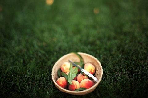 Summer Peaches wallpaper 480x320