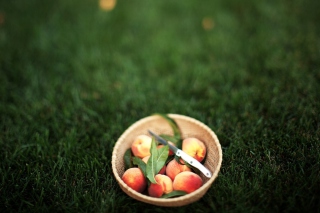 Summer Peaches Background for Android, iPhone and iPad