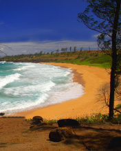 Donkey Beach on Hawaii wallpaper 176x220