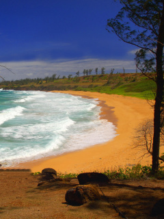 Donkey Beach on Hawaii screenshot #1 240x320
