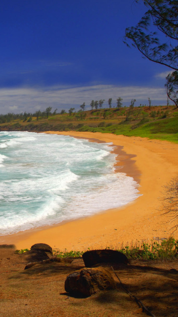 Fondo de pantalla Donkey Beach on Hawaii 360x640