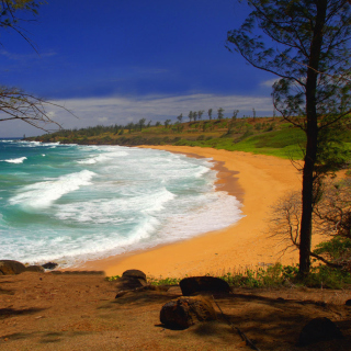 Donkey Beach on Hawaii - Obrázkek zdarma pro iPad 2