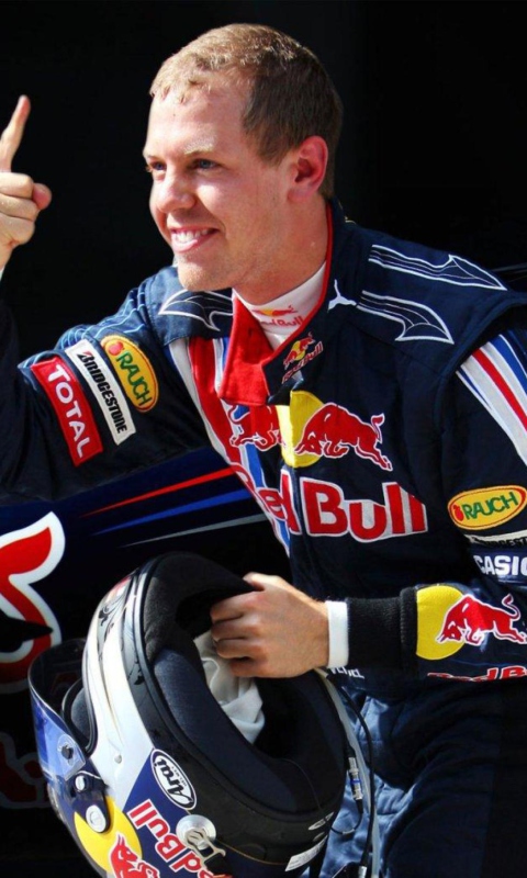 Fondo de pantalla Sebastian Vettel - World Champions Formula 1 480x800