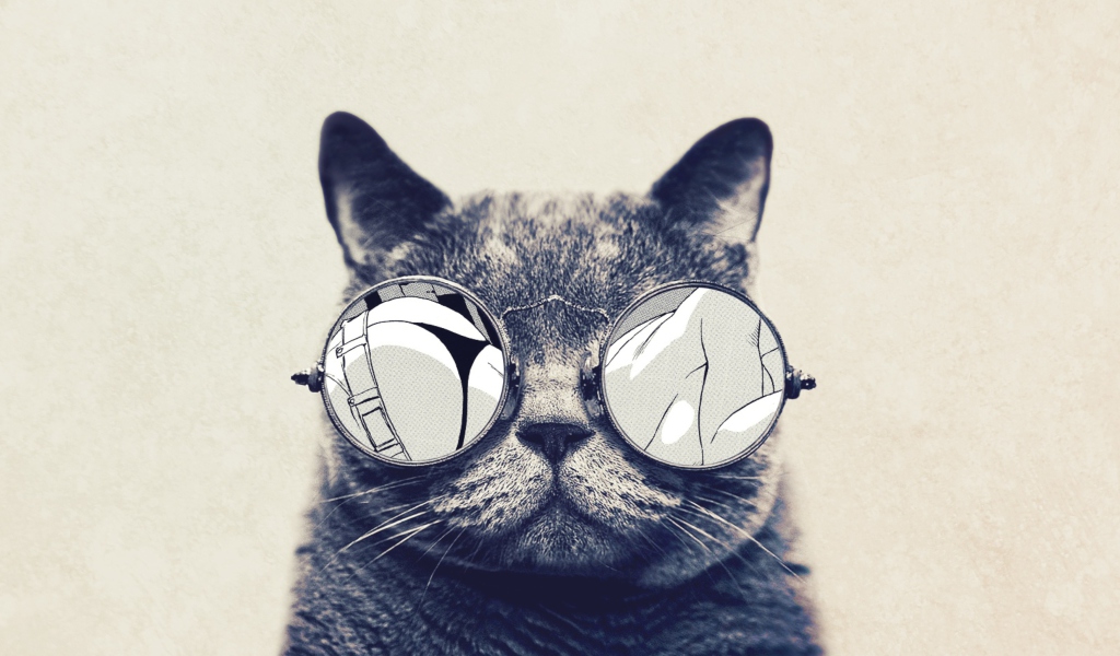 Обои Funny Cat In Round Glasses 1024x600