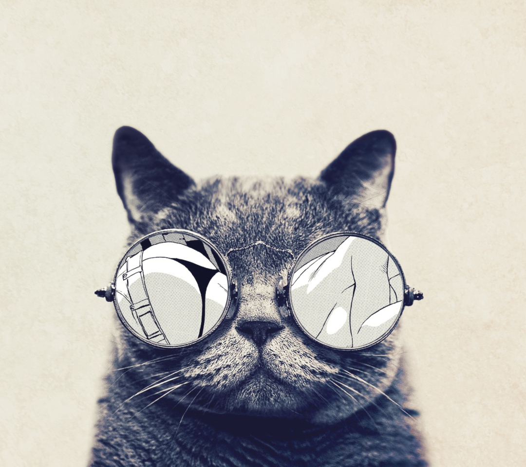 Обои Funny Cat In Round Glasses 1080x960