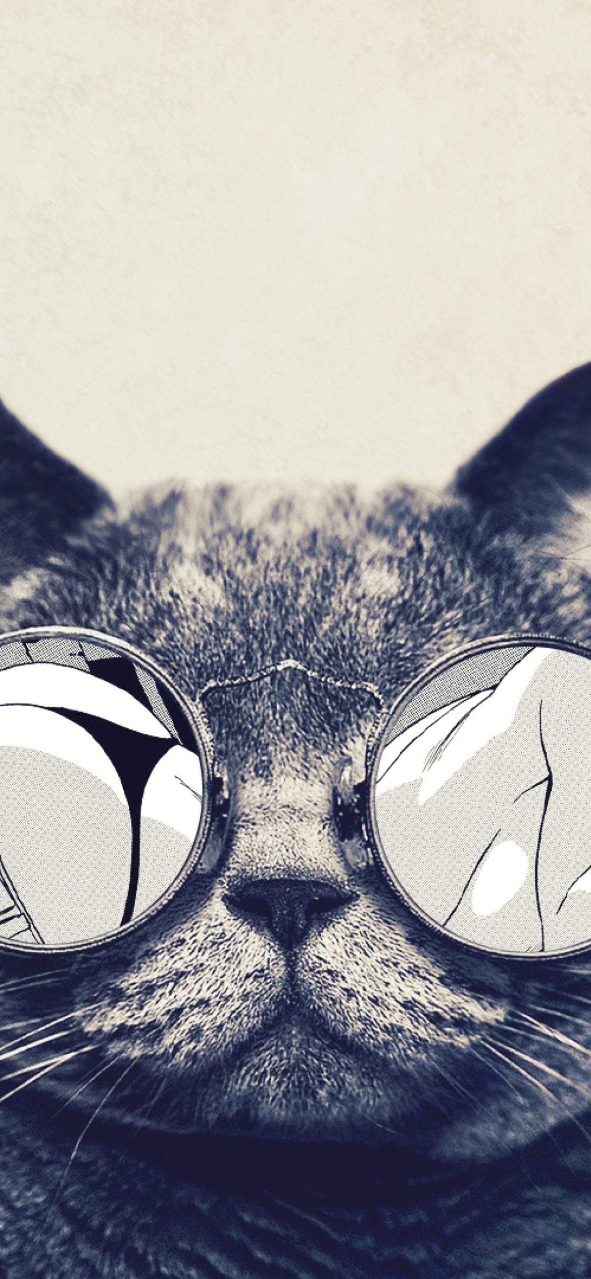 Funny Cat In Round Glasses wallpaper 1170x2532