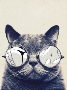 Обои Funny Cat In Round Glasses 132x176