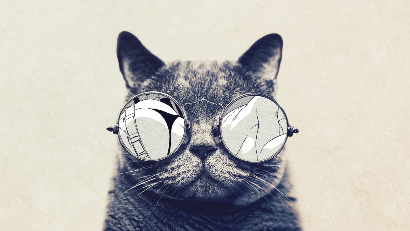 Das Funny Cat In Round Glasses Wallpaper 1366x768