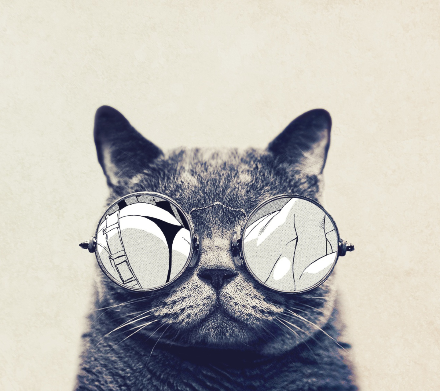 Funny Cat In Round Glasses wallpaper 1440x1280