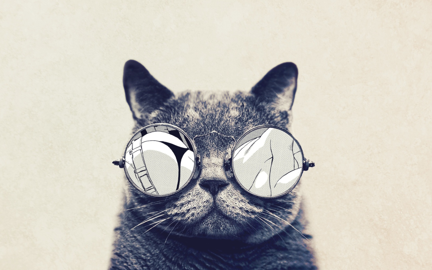 Fondo de pantalla Funny Cat In Round Glasses 1440x900