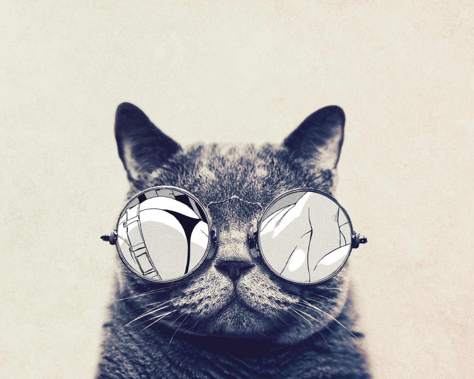 Обои Funny Cat In Round Glasses 1600x1280