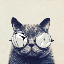 Fondo de pantalla Funny Cat In Round Glasses 208x208