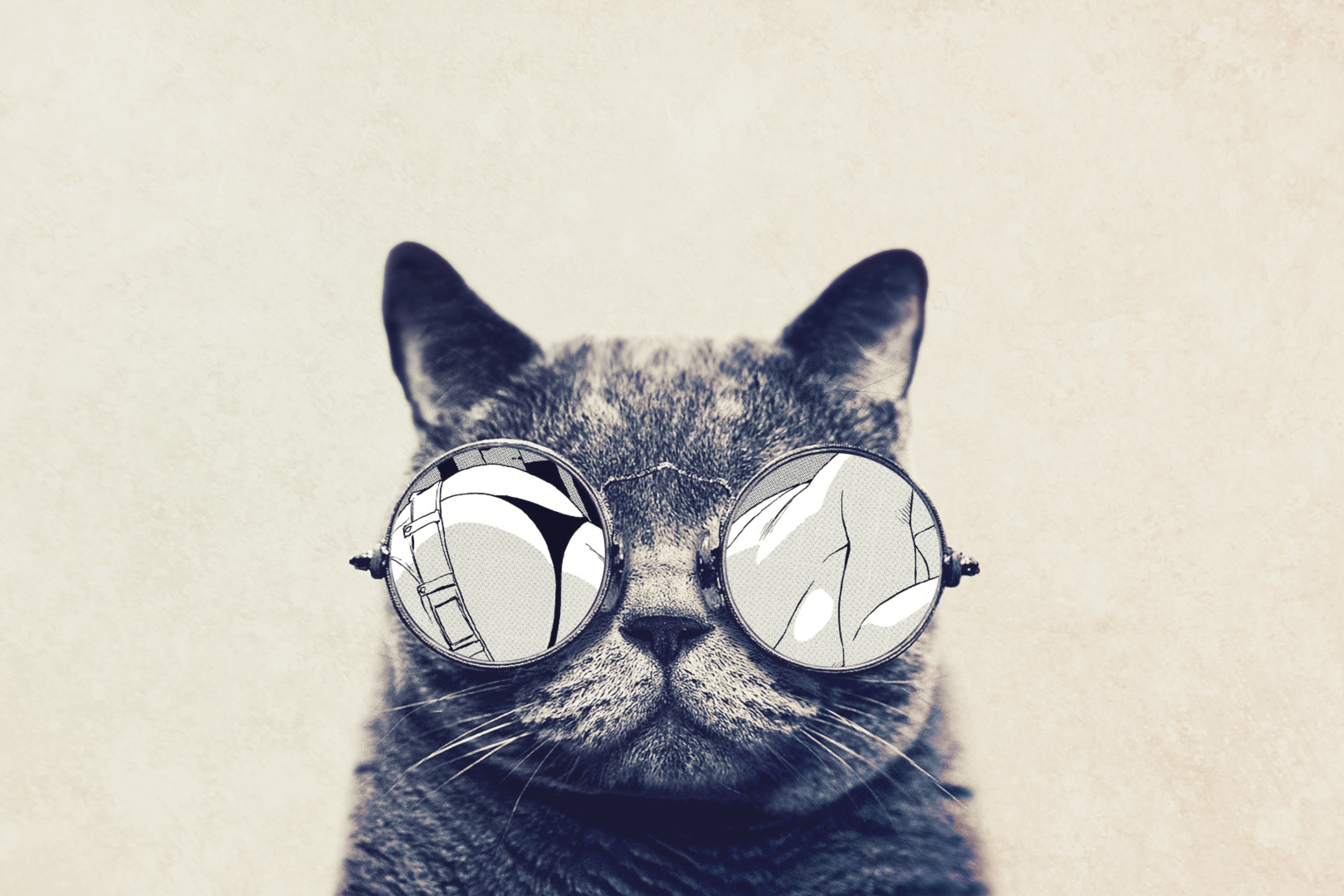 Das Funny Cat In Round Glasses Wallpaper 2880x1920