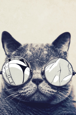 Das Funny Cat In Round Glasses Wallpaper 320x480