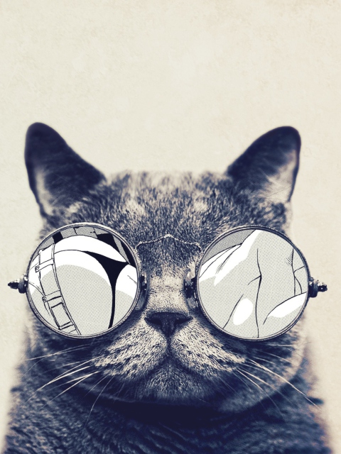 Funny Cat In Round Glasses wallpaper 480x640