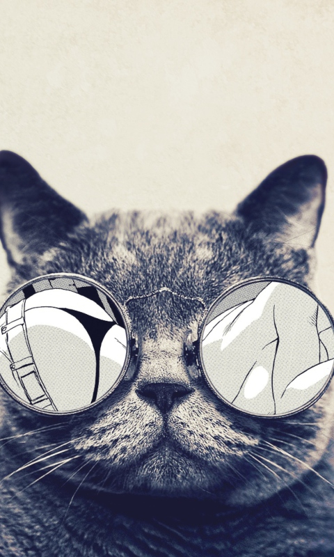 Обои Funny Cat In Round Glasses 480x800