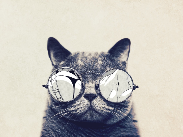 Обои Funny Cat In Round Glasses 640x480