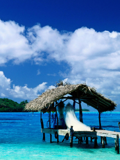 Fondo de pantalla Thatched Hut, Bora Bora, French Polynesia 240x320