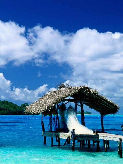 Thatched Hut, Bora Bora, French Polynesia screenshot #1 480x640