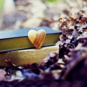 Das Yellow Heart And Vintage Books Wallpaper 128x128