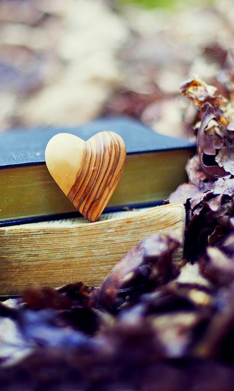 Yellow Heart And Vintage Books wallpaper 480x800
