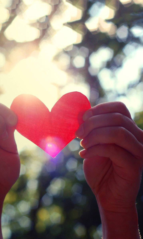 Red Paper Heart In Hands screenshot #1 480x800