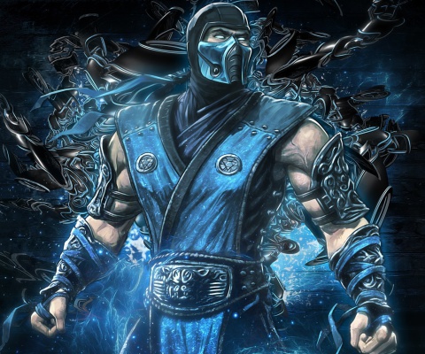 Das Mortal kombat, Sub zero Wallpaper 480x400