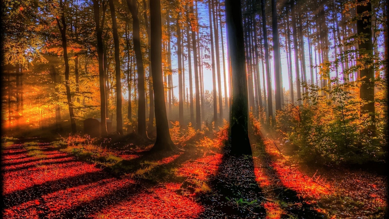 Awesome Fall Scenery wallpaper 1280x720