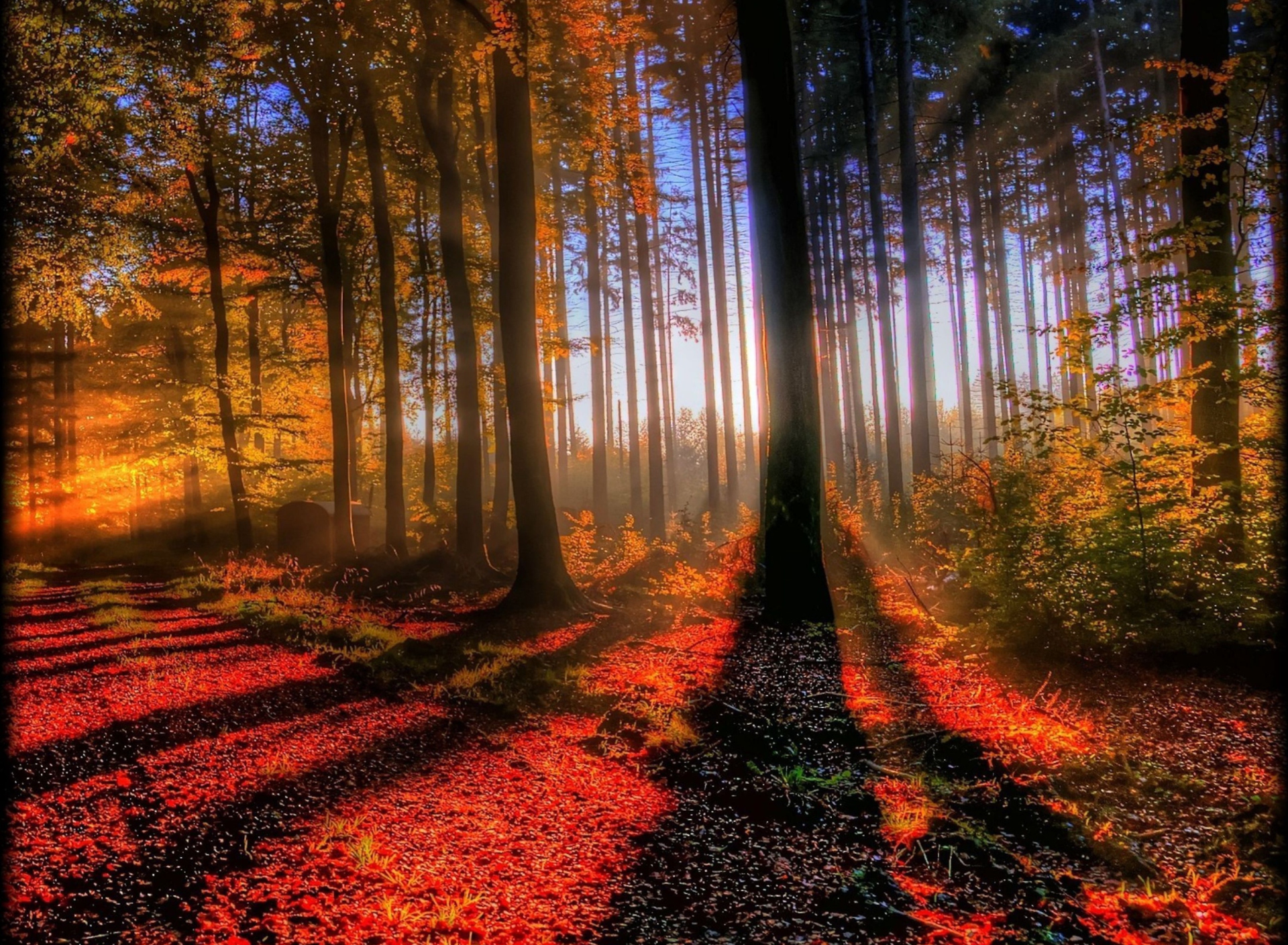 Awesome Fall Scenery wallpaper 1920x1408