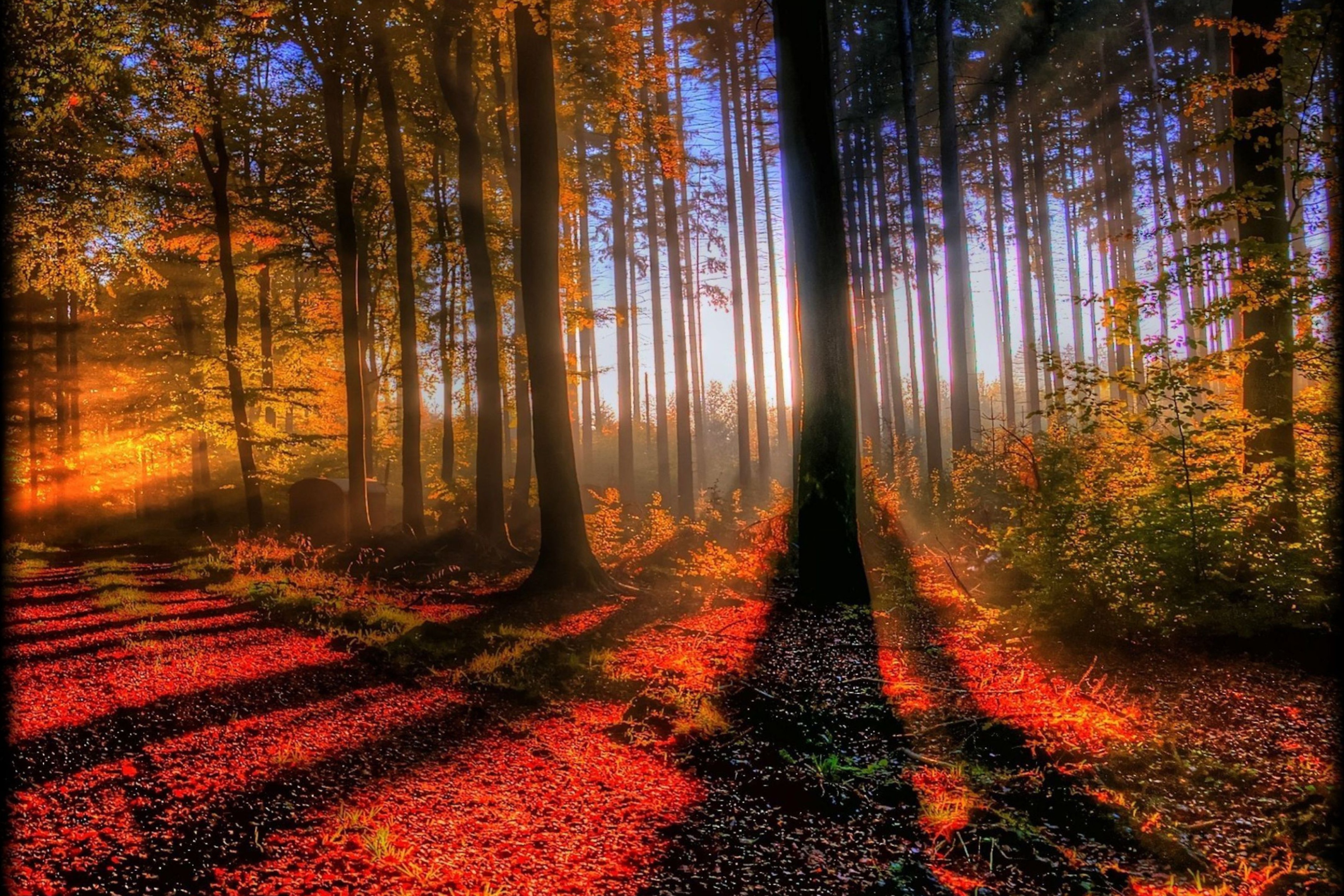 Awesome Fall Scenery wallpaper 2880x1920