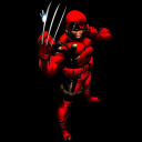 Обои Wolverine in Red Costume 128x128