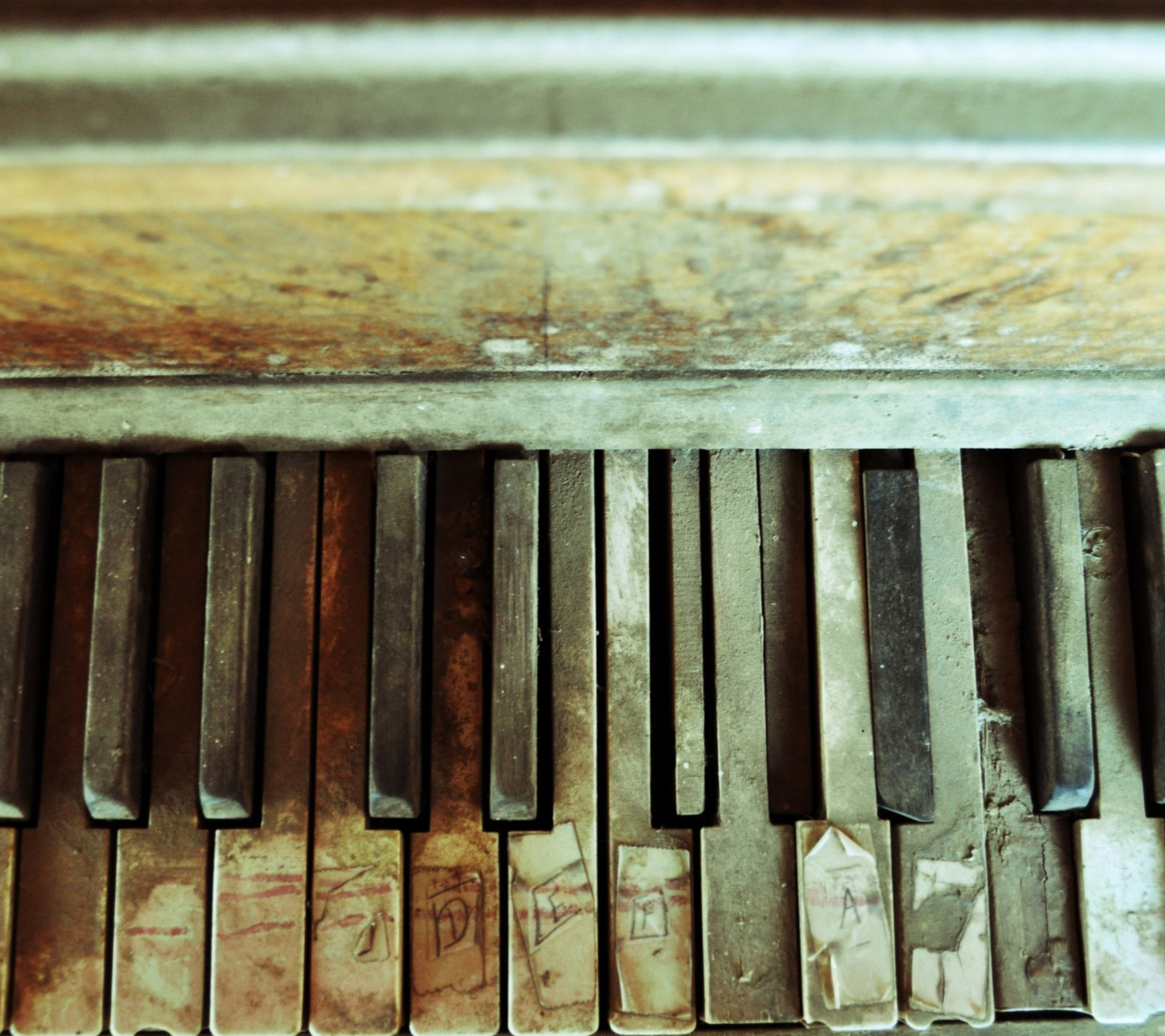 Обои Old Piano Keyboard 1440x1280