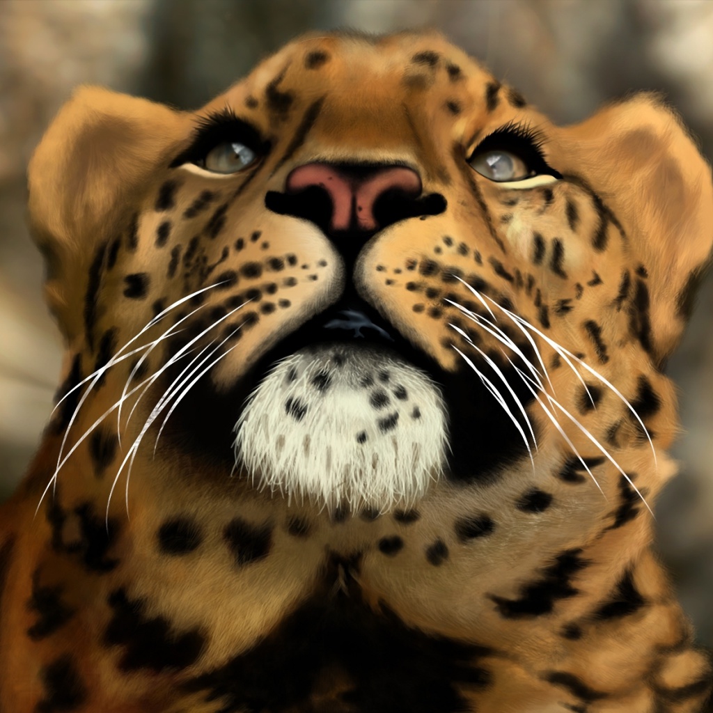 Das Leopard Art Picture Wallpaper 1024x1024