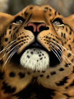 Обои Leopard Art Picture 240x320