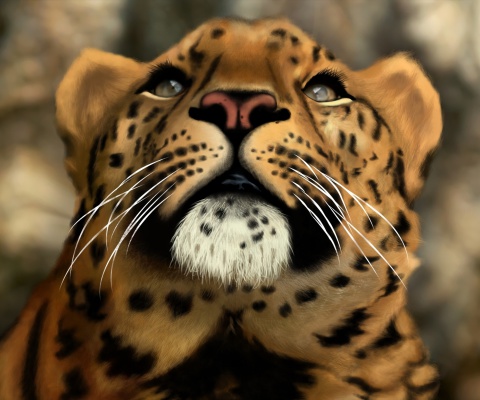 Das Leopard Art Picture Wallpaper 480x400
