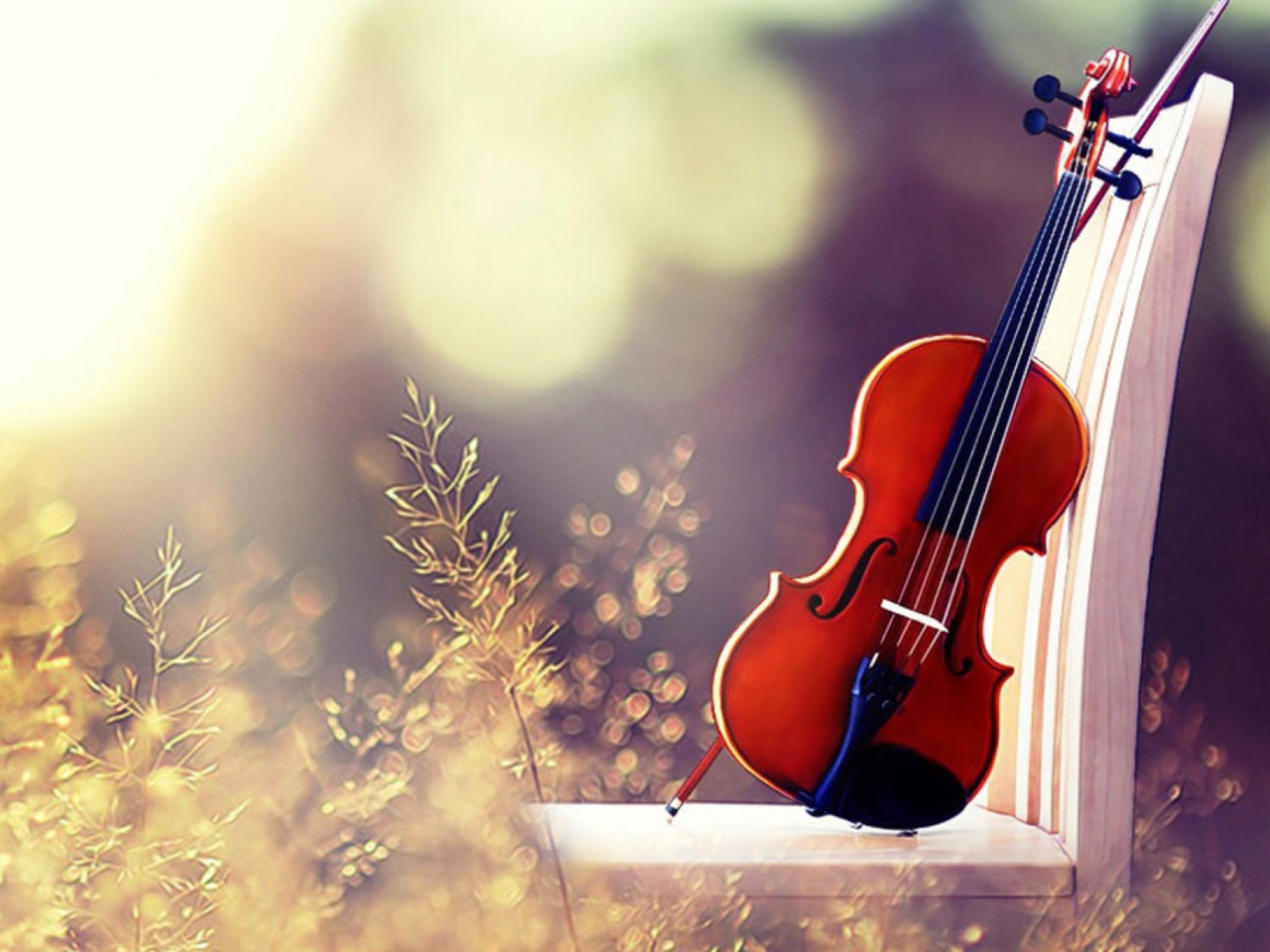 Музыка приятные мелодии. Красивая скрипка. Музыкальные инструменты на природе. Музыкальные картинки. Скрипка фон.