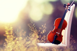 Violin sfondi gratuiti per cellulari Android, iPhone, iPad e desktop