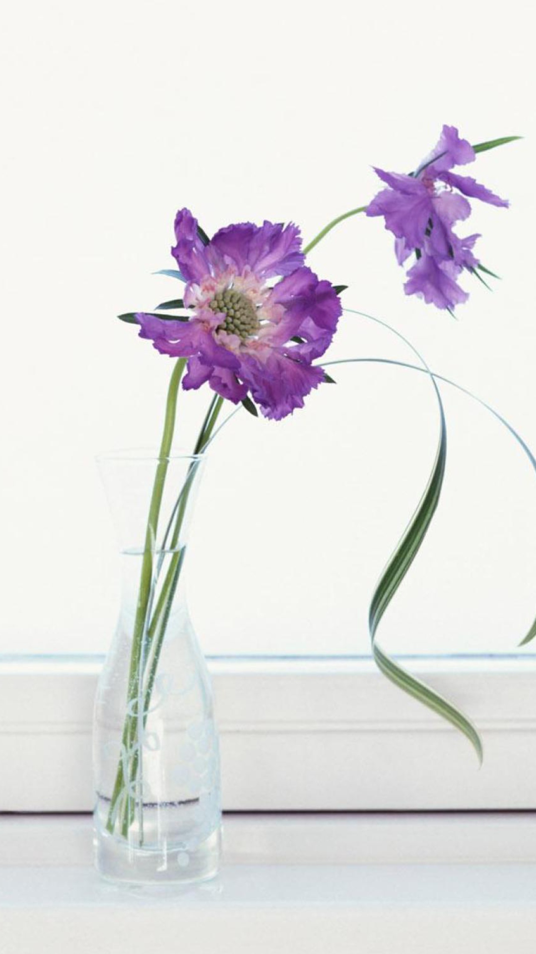 Purple Flowers wallpaper 1080x1920