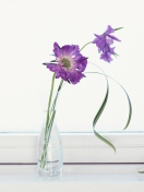 Fondo de pantalla Purple Flowers 132x176