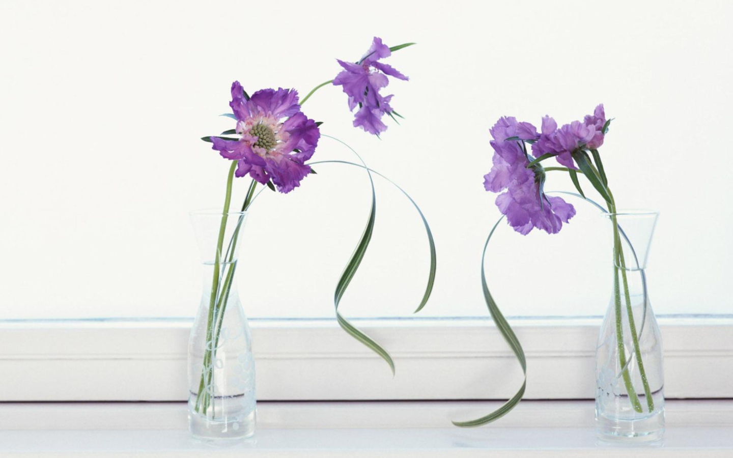 Обои Purple Flowers 1440x900