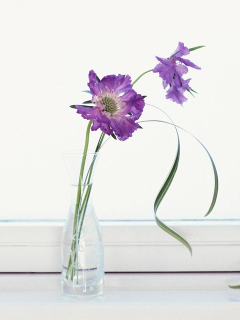 Обои Purple Flowers 480x640