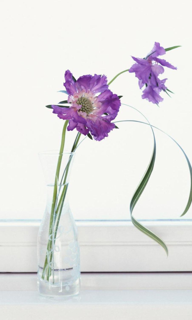 Sfondi Purple Flowers 768x1280