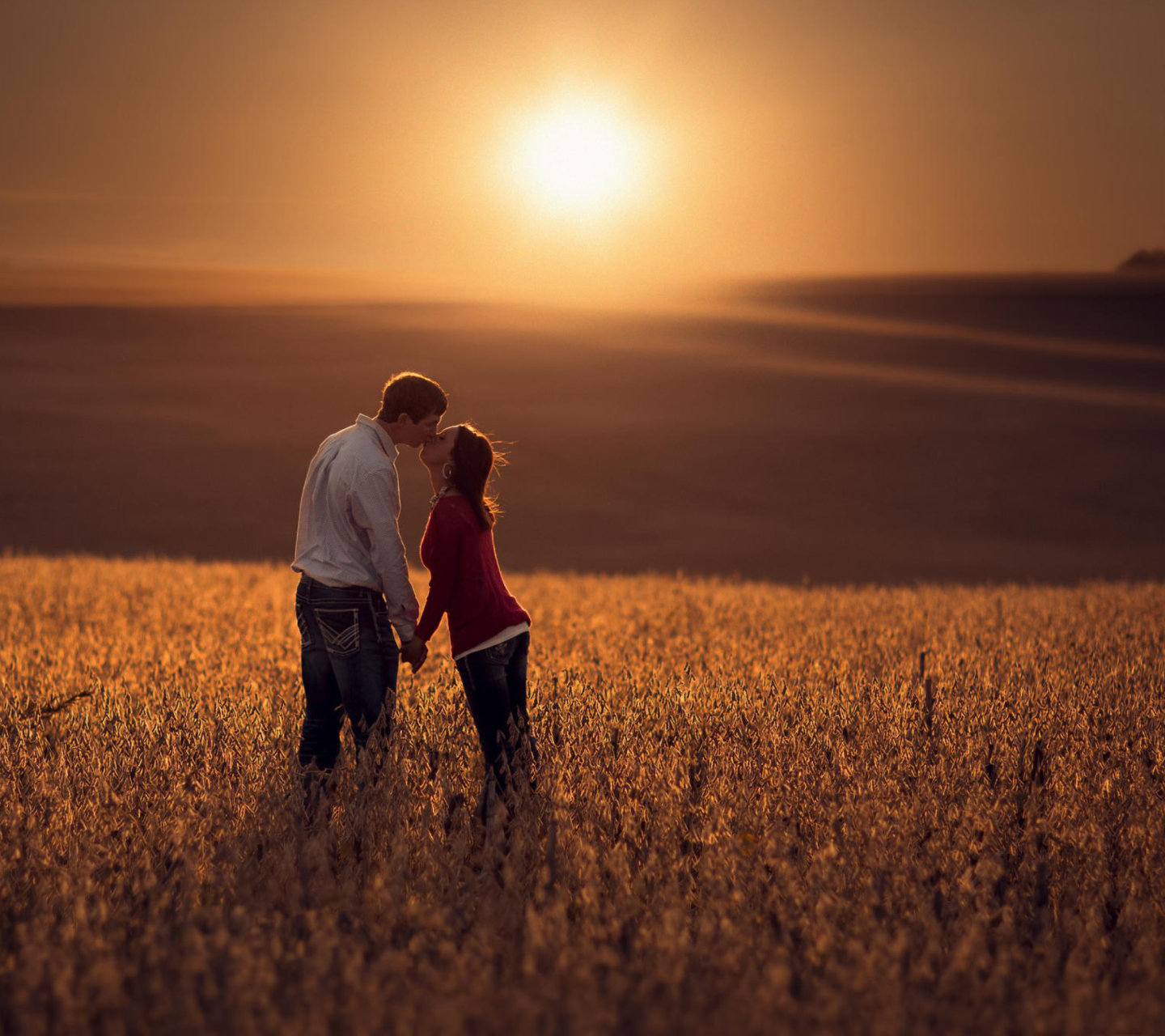 Das Couple Kissing In Field Wallpaper 1440x1280