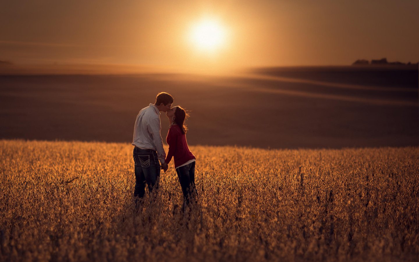 Fondo de pantalla Couple Kissing In Field 1440x900