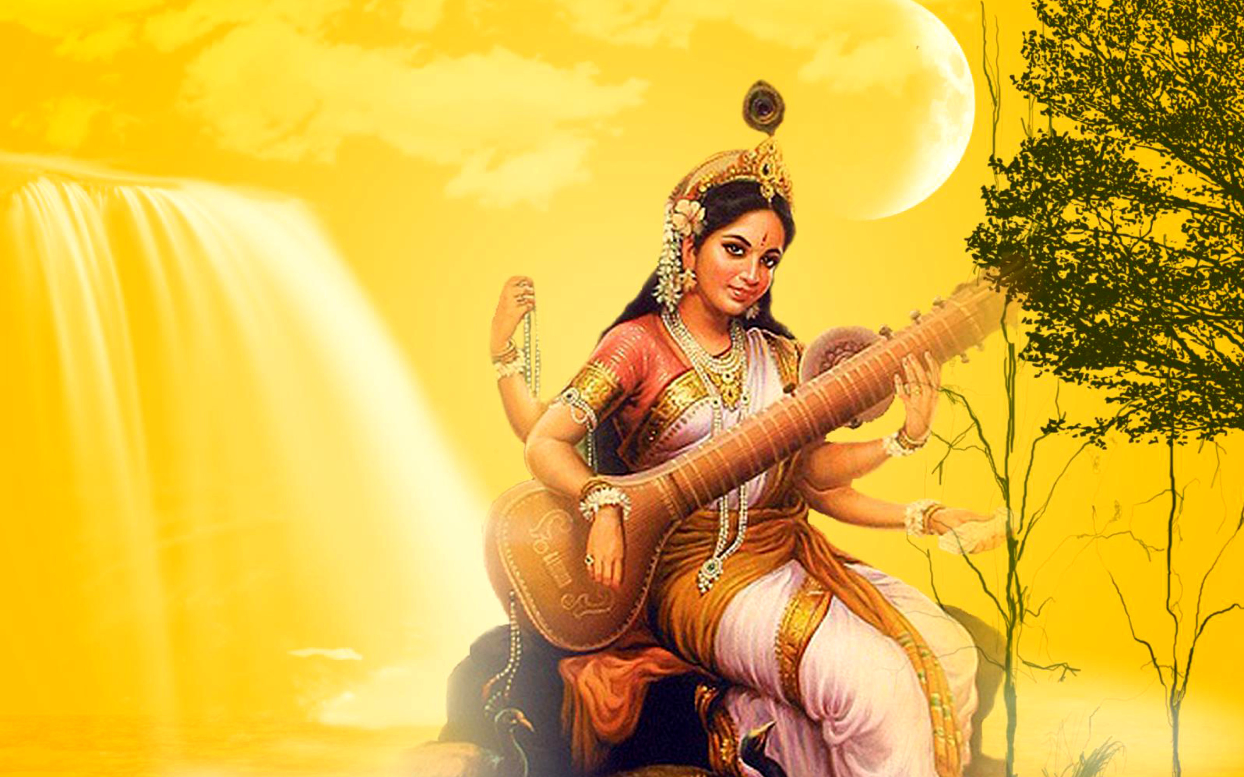 Das Saraswathi God Wallpaper 2560x1600